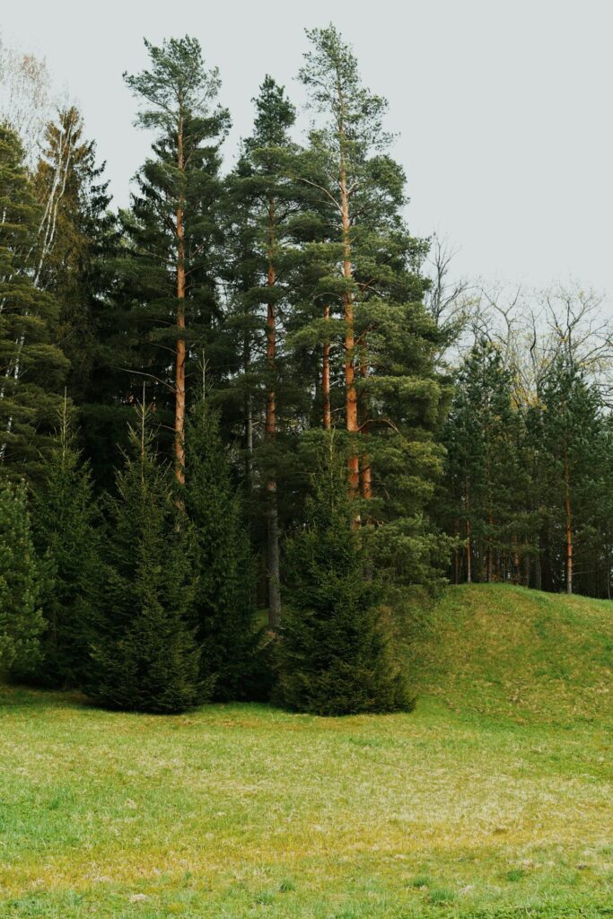 servicios ganaderos en Torrelodones