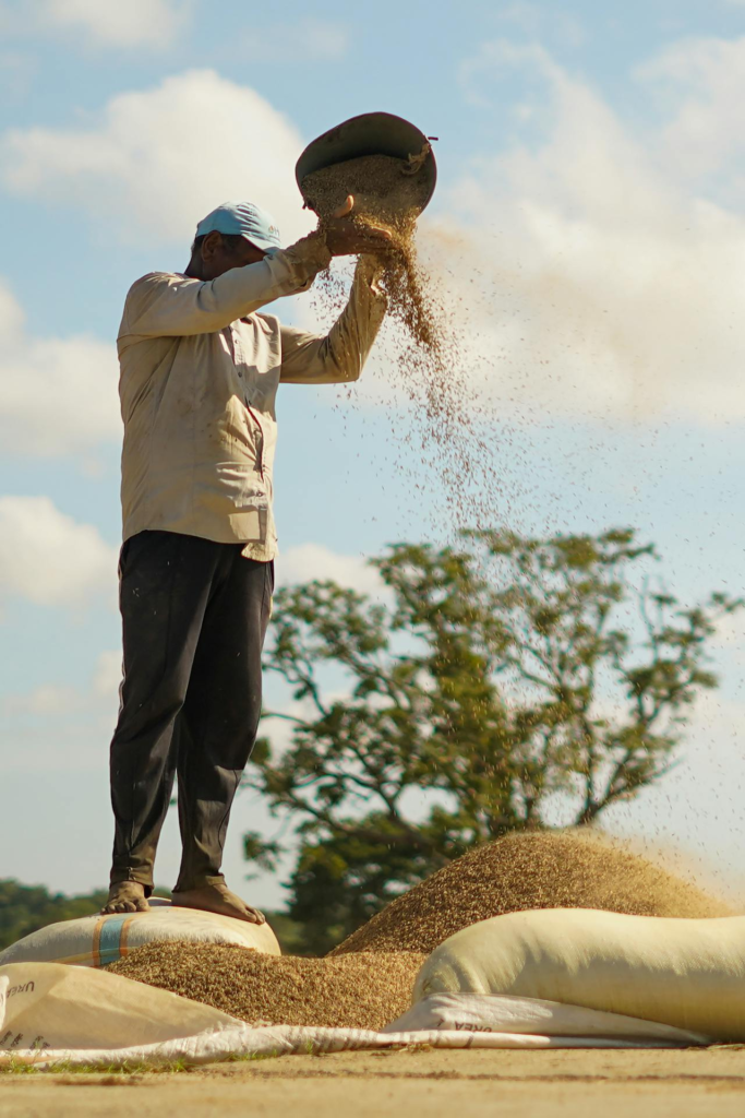 agricultura y ganaderÃ­a en Torrelodones